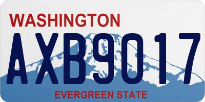 WA license plate AXB9017