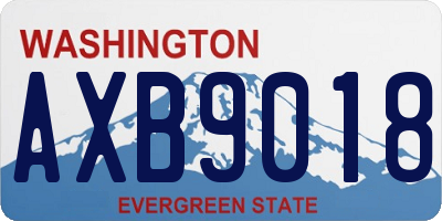 WA license plate AXB9018