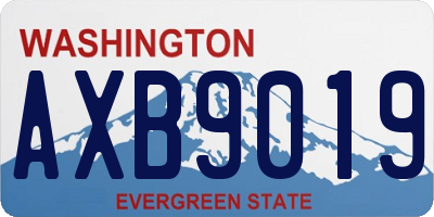 WA license plate AXB9019