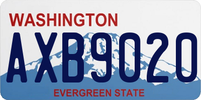 WA license plate AXB9020