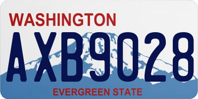 WA license plate AXB9028