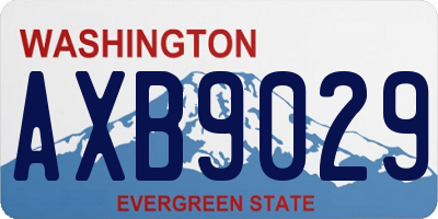 WA license plate AXB9029