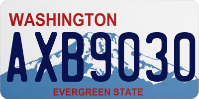 WA license plate AXB9030