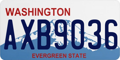 WA license plate AXB9036