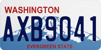 WA license plate AXB9041
