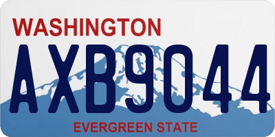 WA license plate AXB9044
