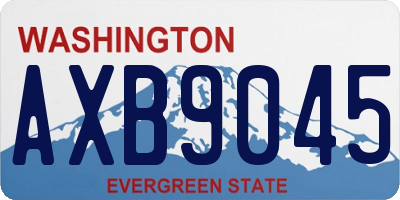 WA license plate AXB9045