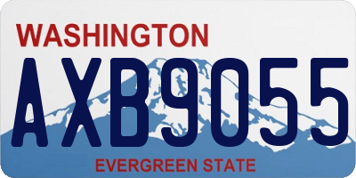 WA license plate AXB9055