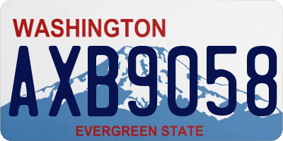 WA license plate AXB9058