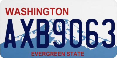 WA license plate AXB9063