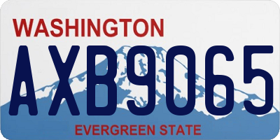 WA license plate AXB9065