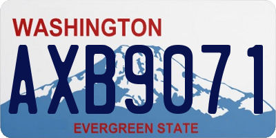 WA license plate AXB9071