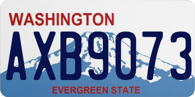 WA license plate AXB9073