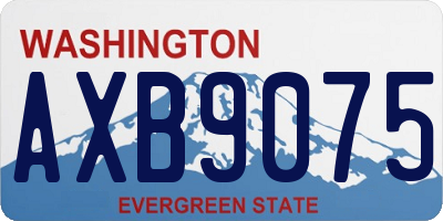 WA license plate AXB9075