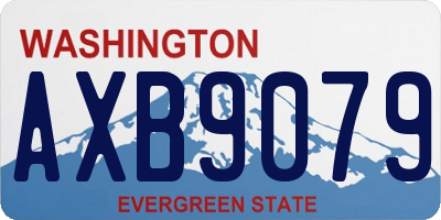 WA license plate AXB9079