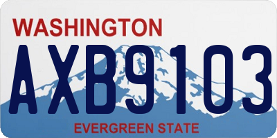 WA license plate AXB9103
