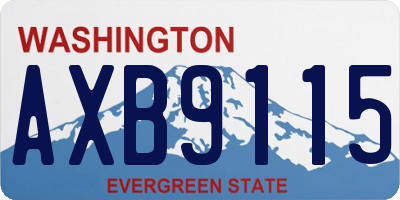WA license plate AXB9115