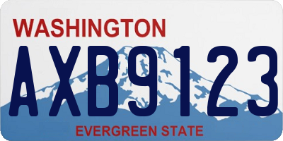 WA license plate AXB9123