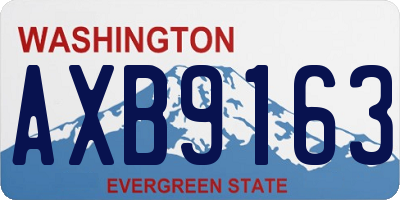 WA license plate AXB9163