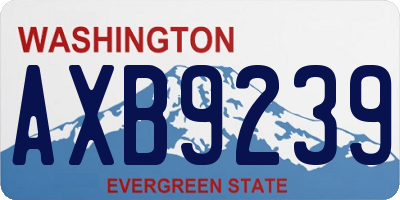 WA license plate AXB9239
