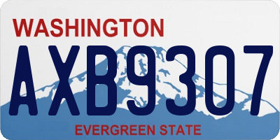 WA license plate AXB9307