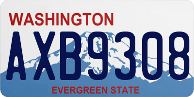WA license plate AXB9308