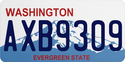 WA license plate AXB9309