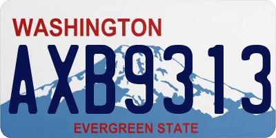 WA license plate AXB9313
