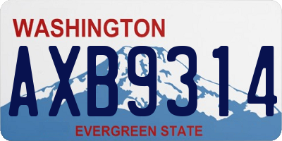 WA license plate AXB9314