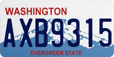 WA license plate AXB9315
