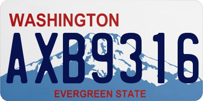WA license plate AXB9316
