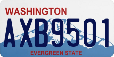 WA license plate AXB9501