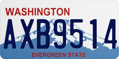WA license plate AXB9514