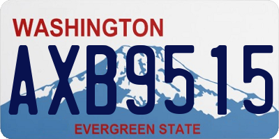 WA license plate AXB9515