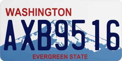 WA license plate AXB9516