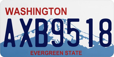WA license plate AXB9518