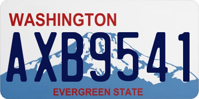 WA license plate AXB9541