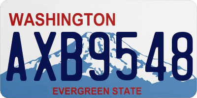 WA license plate AXB9548
