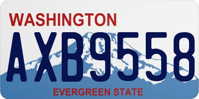 WA license plate AXB9558
