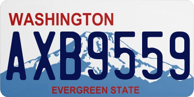 WA license plate AXB9559