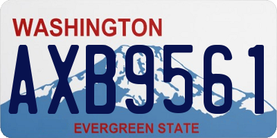 WA license plate AXB9561