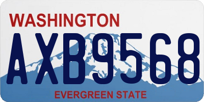 WA license plate AXB9568