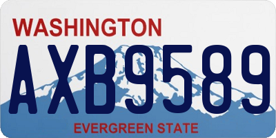 WA license plate AXB9589