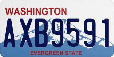 WA license plate AXB9591