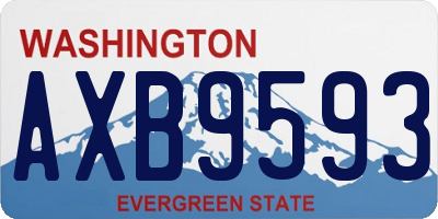 WA license plate AXB9593