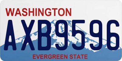 WA license plate AXB9596