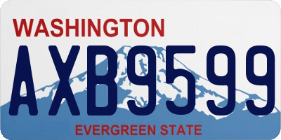 WA license plate AXB9599