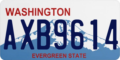 WA license plate AXB9614