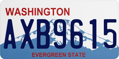 WA license plate AXB9615