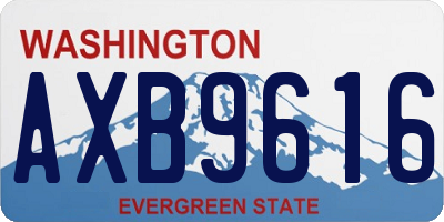 WA license plate AXB9616